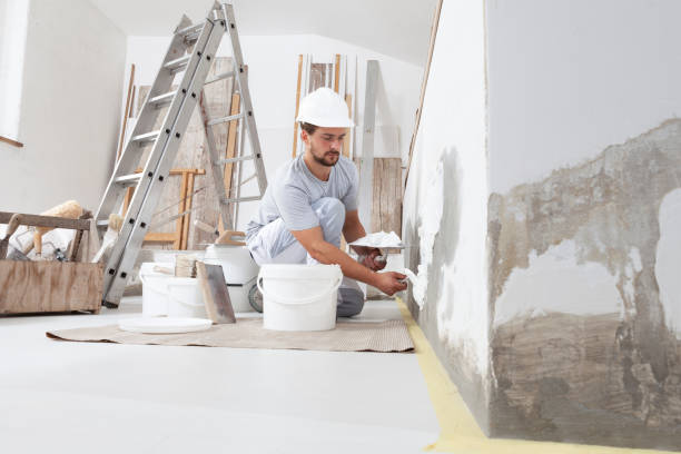 Best Eco-Friendly and Low-VOC Painting  in Lake Ridge, VA