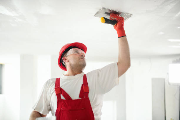 Best Interior Painting  in Lake Ridge, VA