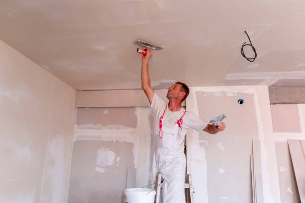 Best Ceiling Drywall Installation  in Lake Ridge, VA